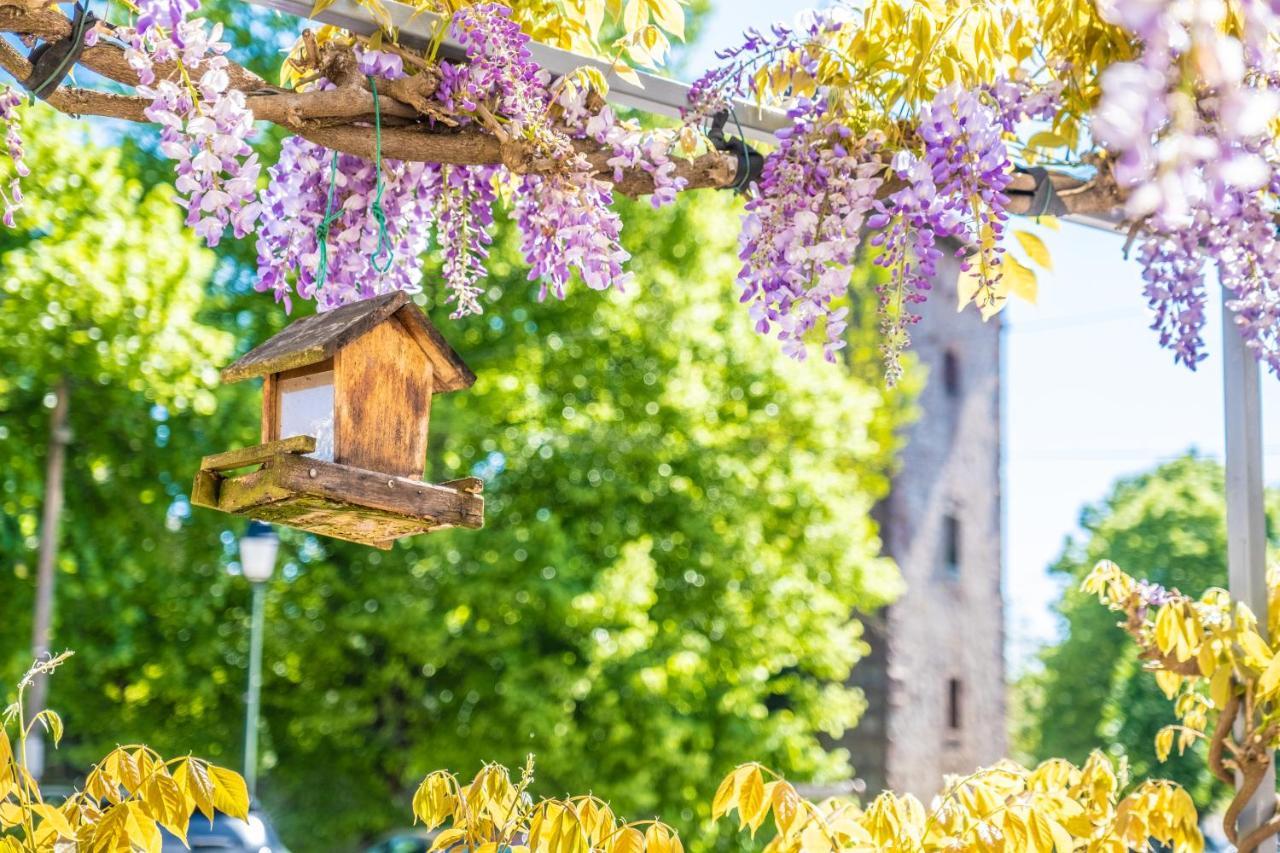 Les Tilleuls * Wissembourg