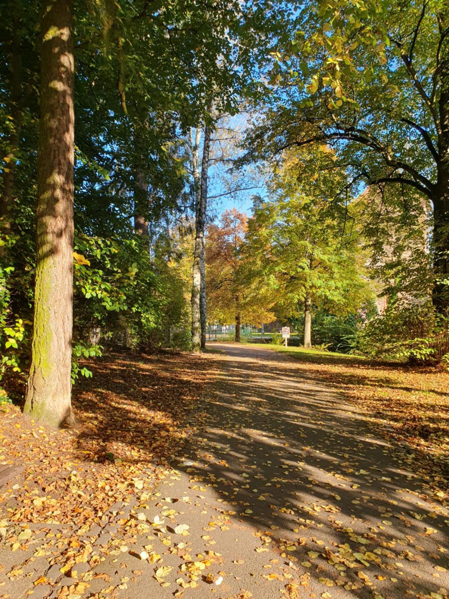 Сasa de vacaciones Les Tilleuls Wissembourg
